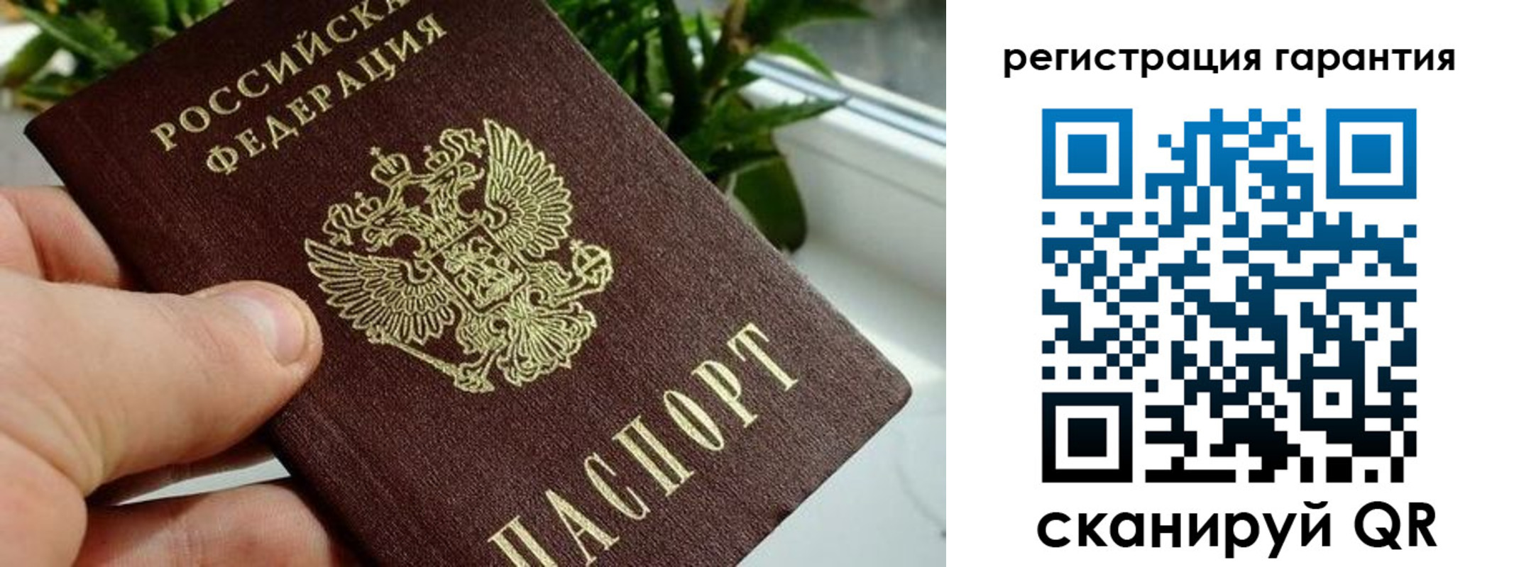 временная регистрация надежно в Анапе